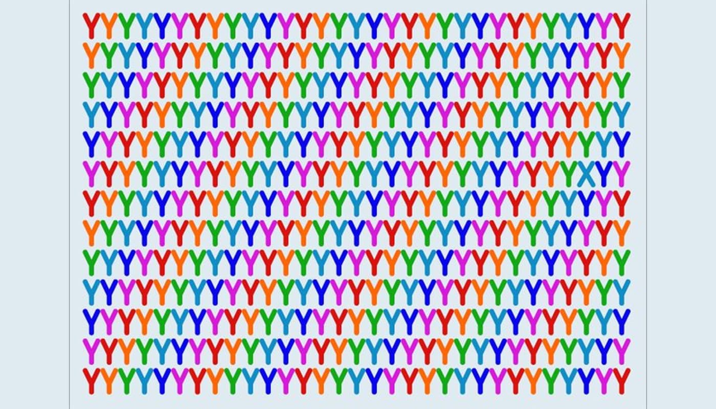 TEST IQ | Identificați „X”-ul din această imagine!